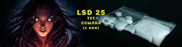 ECSTASY Коряжма