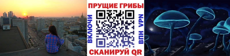 Купить  Малгобек  Галлюциногенные грибы MAGIC MUSHROOMS 
